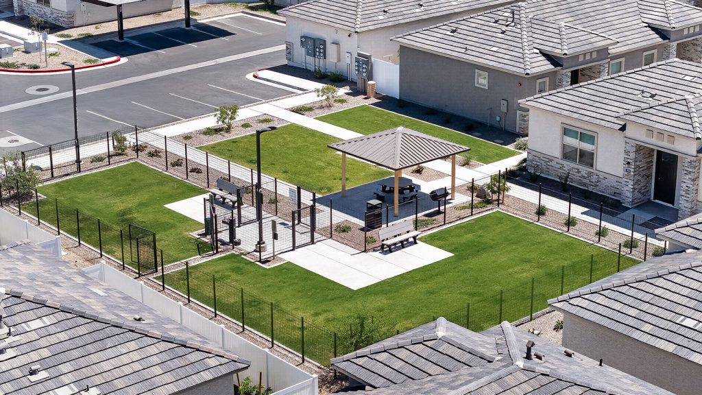 dog park